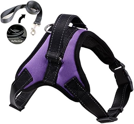 Keysui Dog Harness with Handle on Top, Adjustable No Pull Dog Chest Strap Harness for Small to Large Dog - Best for Training, Walking, Hiking