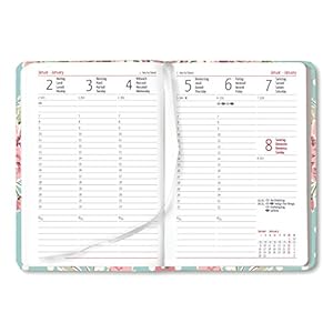 Alpha Edition Ladytimer 170835 Agenda per Anno 2017