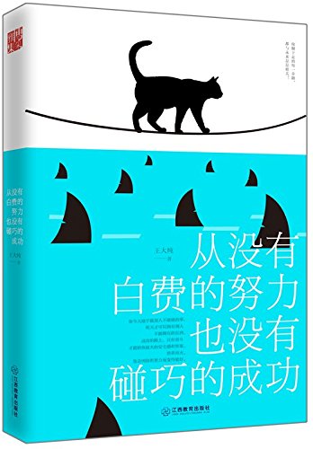 Preisvergleich Produktbild No Efforts Are In Vain, No Success Is Accidental (Chinese Edition)