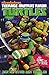 Teenage Mutant Ninja Turtles TV-Comic: Bd. 1: Der Aufstieg der Turtles (Einsteiger-Comic) by