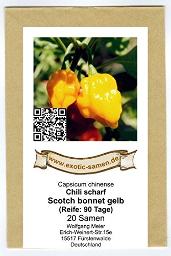 Seltene, sehr scharfe Chili-Sorte mit Aprikosenaroma – Scotch Bonnet gelb, yellow – 20 Samen - 2