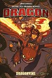 How to Train Your Dragon