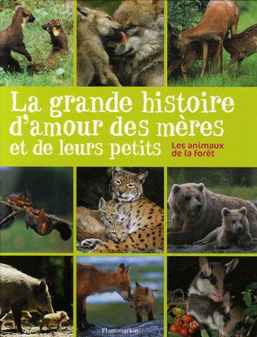 couverture de : La grande histoire d'amour des m&egrave;res et de leurs petits