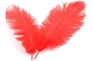 DUORIES 10 Piume di Struzzo Naturali,20-25 cm,per Fai da Te,per acchiappasogni,Accessori Fai da Te,Decorazione per la casa,Costumi,Decorazione da Tavolo,Matrimoni,Feste,Cappelli,Vestiti,Colore Rosso