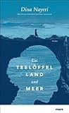 Ein Teelöffel Land und Meer von Dina Nayeri