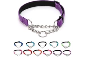 LOS ANDES Dog Choke Collar Martingale Collar with Limited Chain Strong Nylon Collar with Soft Padded No Pull Reflective Training Collar for Large, Medium and Small Dogs(S:Neck 25-45cm,Purple)