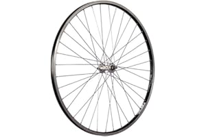 Taylor-Wheels 28 pollici ruota anteriore bici ZAC19 acciaio inossidabile 622-19 nero/argento