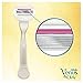 Venus Gillette Venus and Olay Sugarberry Blades (Pack of 3