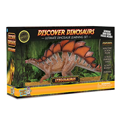 Discover with Dr. Cool ¡Figura de acción de Stegosaurus Incluye fósiles de Huesos de Dinosaurio Real!