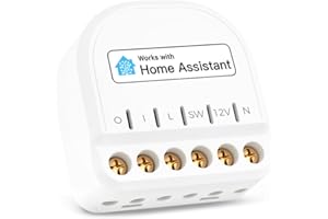 Refoss ESP8266 Mini Interruttore Smart a Relè WiFi con Home Assistant, Interruttore Luce Smart da 10A con Misurazione della Corrente, 1 Gang, Compatibile con Alexa, Google, 1 Pezzo
