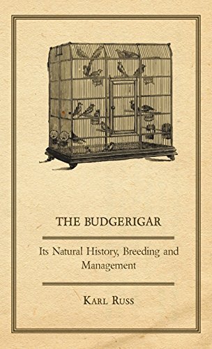 The Budgerigar - Its Natural History, Breeding and Management by Russ, Karl (2009) Hardcover