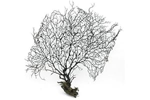 LTWHOME 28cm Noir Mer Ventilateur Aquarium Décoration,Mer Corail Ornement TR-02 (Paquet de 1)