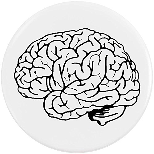 pin cerebro redondo