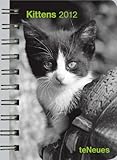 Kittens 2012. Taschenkalender Deluxe by 
