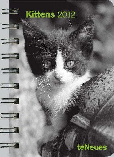 Kittens 2012. Taschenkalender Deluxe