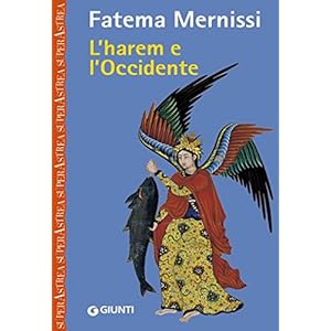 L'harem e l'occidente (Nuovi narratori)