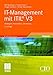 IT-Management mit ITIL® V3: Strategien, Kennzahlen, Umsetzung (Edition CIO) by Ralf Buchsein, Frank Victor