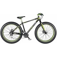 fatbike 28