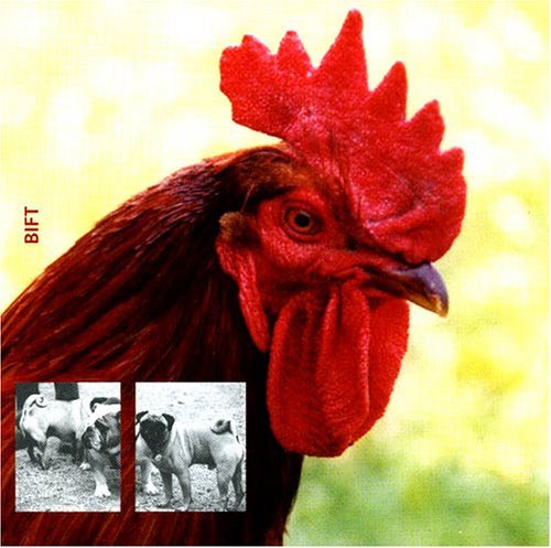 Preisvergleich Produktbild Bift [Us Import] by Bift