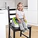 Ingenuity SmartClean Toddler Booster (Lime)