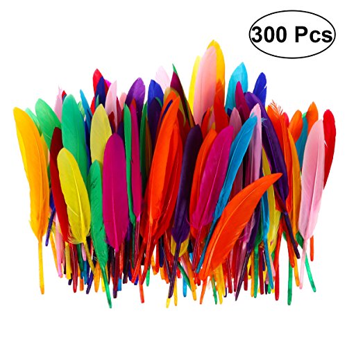 Toymytoy 300 pcs coloré Nature Plume pour DIY Craft Mariage Home Party Decor (couleur aléatoire)