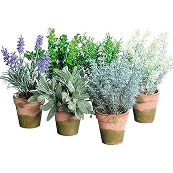 Amazon.de: Deko Küchenkräuter Set, 6 Stück, 12-21 cm