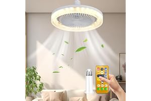 Anyingkai Lampe Ventilateur Plafond,Luminaire Ventilateur Plafonnier,Lustre Silencieux Silencieux Avec Lumiere et Telecommande,Ventilo Plafond Avec Lumière (Aromatherapie)