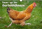 Neues von den Gartenhühnern (Wandkalender 2019 DIN A4 quer): Momentaufnahmen aus dem Leben glücklicher Hühner (Monatskalender, 14 Seiten ) (CALVENDO Tiere) by 
