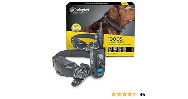 dogtra 1900s amazon