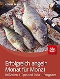 Image de Erfolgreich angeln Monat für Monat: Beißzeiten · Tipps & Tricks · Fangplätze (BLV)
