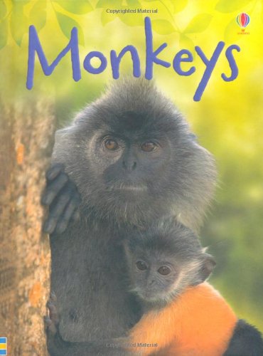 Monkeys (Beginners) RS.70 (77.00% Off) - Amazon