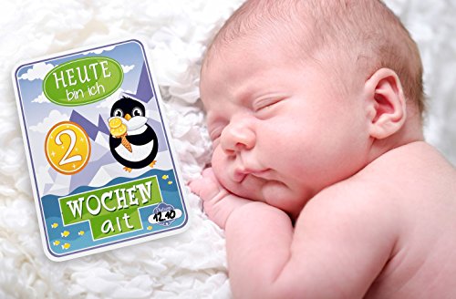 ALTOHERZ Babykarten – 44 wunderbare Meilensteine – Begleiter für das erste Lebensjahr und eine Erinnerung fürs ganze Leben - 4