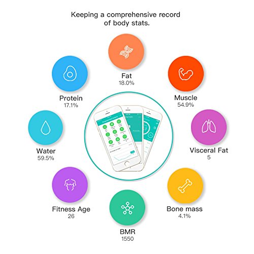 yunmai Mini Smart Body Analyzer – Bluetooth Personenwaage mit 10 Körper Zusammensetzung Analyse (INC. Körperfett) blau - 6