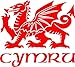 Price comparison product image Huzzy's Welsh Dragon Decal/Sticker for Car, Laptop, Window, Caravan, Motorcycle (RED) 9x8.5cm || Made with Rit-RAMA Vinyl with over 5 years outdoor life