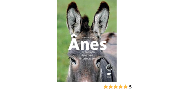 Amazon Fr Anes Les Connaitre Les Choisir En Prendre Soin Hafner Marisa Livres