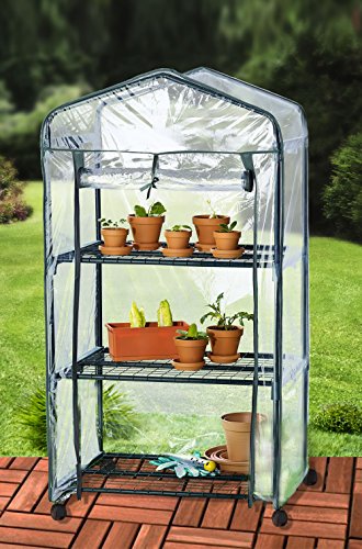 UPP® Gewächshaus mobil m. Rollen/ Treibhaus/ Frühbeet/ Pflanzenhaus/ Tomatenhaus/ Foliengewächshaus/ Anzuchthaus/ Pflanzenregal