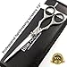 FRESH ARRIVAL Professional Hairdressing Scissors, Barber Salon Scissors + Cas (6.5