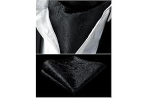 HISDERN Ascot Uomo Paisley Floreale Fazzoletto Cravatta da Matrimonio Elegante Foulard Business Ascots e Pochette Set