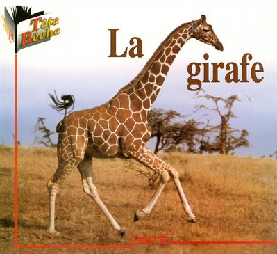 couverture de : La girafe