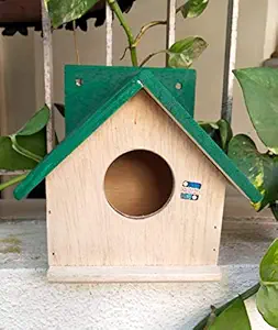 KITRON Bird House for Small Birds/Nest Box for Sparrow and All Small Garden Birds/Ghar/Pet House