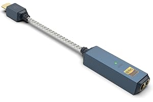iFi GO Link 2 Max USB DAC hörlursförstärkare, Dual ESS Sabre | 241mW balanserad 4,4mm utgång, Hi-Res Audio, lågt brus, portabel DAC för mobil laptop PC, PCM 384kHz/DSD256
