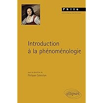 La phénoménologie : Leroy, Christine: Amazon.fr: Livres