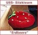 Produktbild USB Wärmekissen Sitzkissen Kissen Stuhlkissen Erdbeere Stuhlhusse Sitzheizung