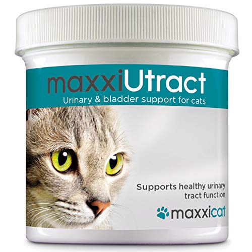 maxxicat - Suplemento Urinario y Vesical para Gatos maxxiUtract - Ayuda a la Salud del Sistema Urinario, al Control de la Vejiga y la Recurrencia de ITU - con Árándanos - En Polvo 60 g