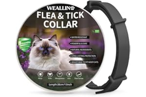 WEALLIN Collier Anti Puces et Tiques pour Chats, Collier Anti Puces pour Chat Imperméable et Réglable, Naturelles et Efficace Protection 8 Mois, Collier Anti Puce Chat à Tous Les Chat, Noir (1 PC)