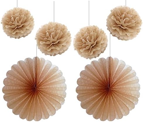 Erosion 4pcs 10 inch Tan Tissue Paper Pom Poms Fluffy Decorations Mixed 2Pcs 14inch Tan Tissue Paper Fans Hanging Decoration Party Baby Shower Decor (Tan)