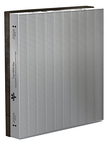 Vornado 701181 Hepa Filter für Luftreiniger, grau, 3 x 27 x 31 cm