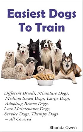 low maintenance large dogs