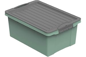 Rotho Compact Boîte de rangement 13l avec couvercle, Plastique (PP recyclé) sans BPA, vert/anthracite, A4/13l (39.5 x 27.5 x 18.0 cm)