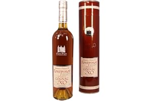 Frapin Domaine Château de Fontpinot Cognac XO